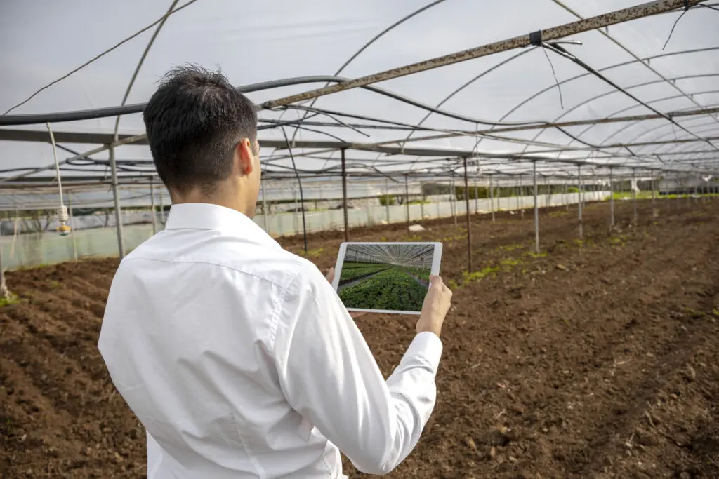 Man using tablet in greenhouse field.